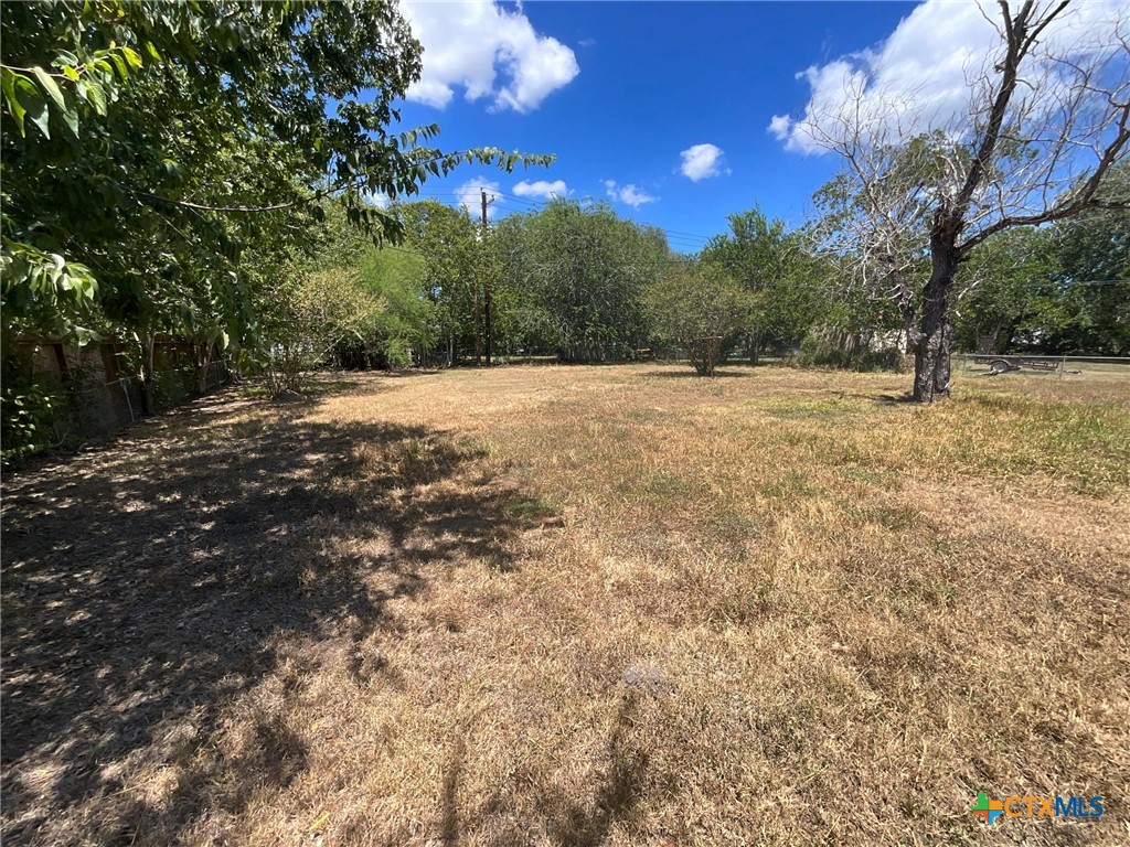 1004 Lawndale Avenue Property Photo 22
