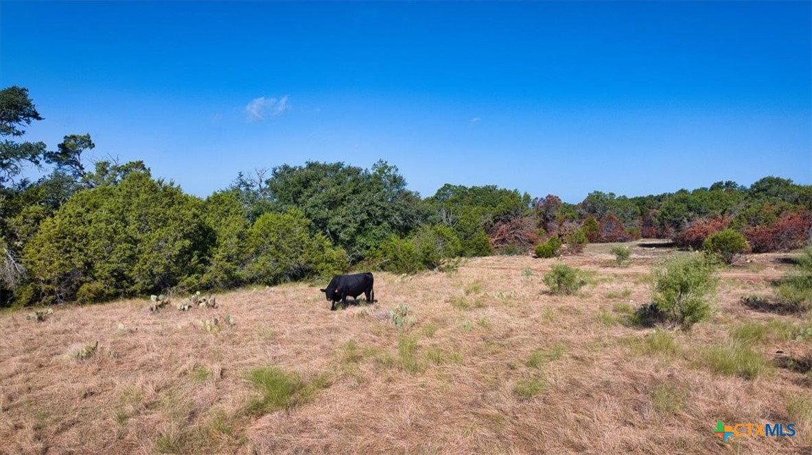 Tbd Cr 105 Property Photo 17