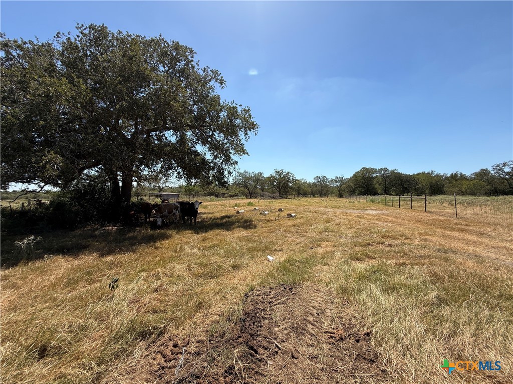 3148 Fm 795 Property Photo 18
