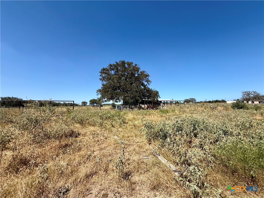 3148 Fm 795 Property Photo 26