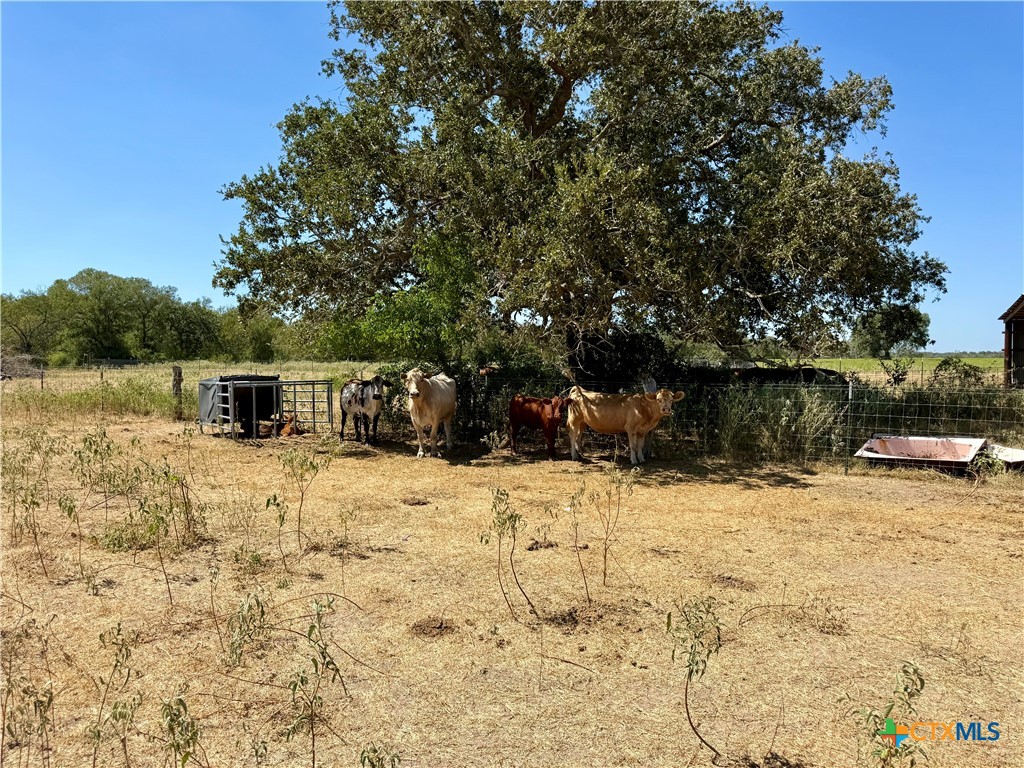 3148 Fm 795 Property Photo 27
