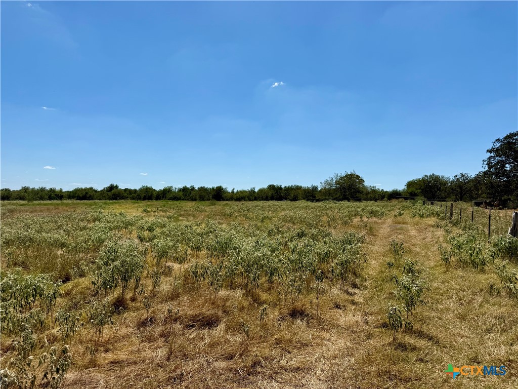 3148 Fm 795 Property Photo 29