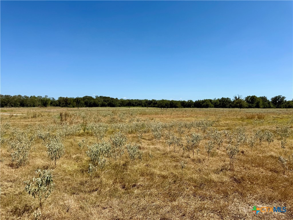 3148 Fm 795 Property Photo 31