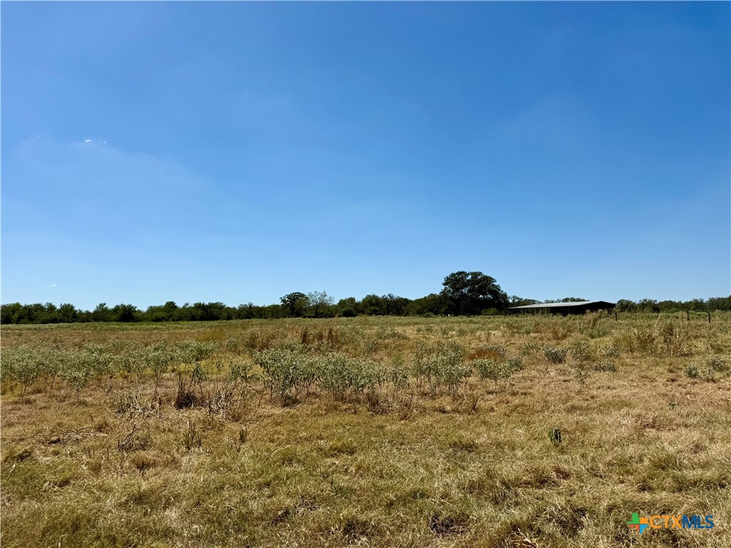 3148 Fm 795 Property Photo 34