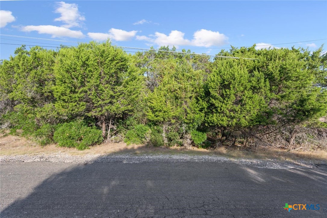 16023 Brazos Drive Property Photo 2