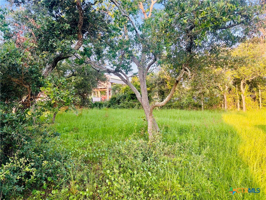 2232 W Monroe Avenue Property Photo 4