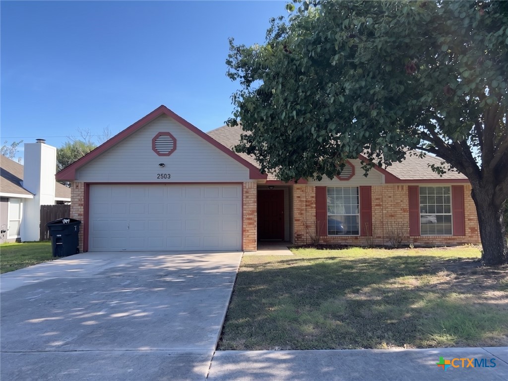 2503 Armadillo Drive Property Photo 1