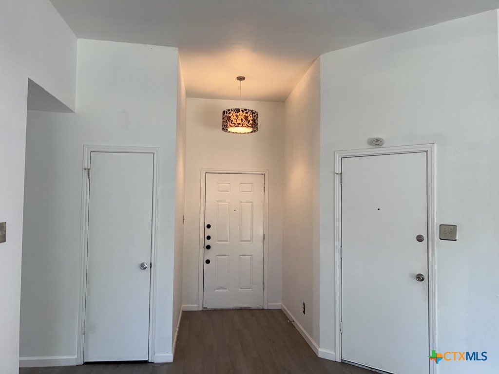 2503 Armadillo Drive Property Photo 4