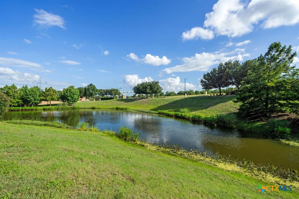 137 Pine Arbol Property Photo 33