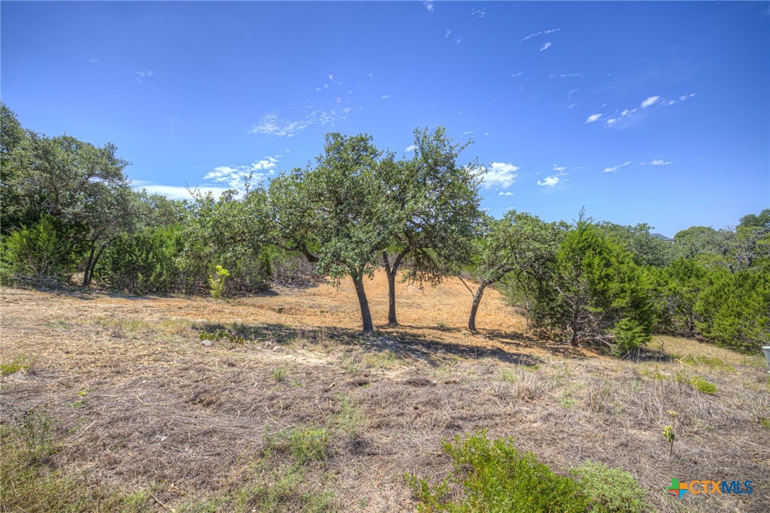 1867 Bella Vista Property Photo 4