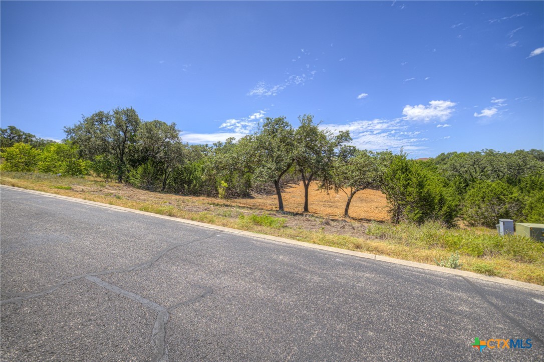 1867 Bella Vista Property Photo 5