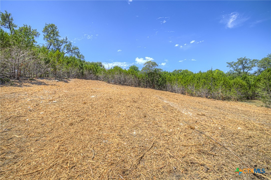 1867 Bella Vista Property Photo 7