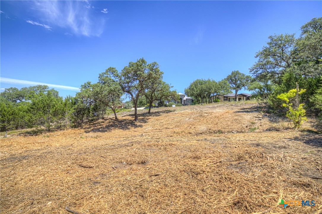 1867 Bella Vista Property Photo 11