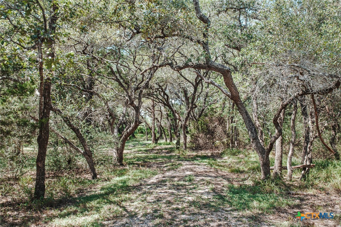 Tract G Vitek Lane Property Photo 16