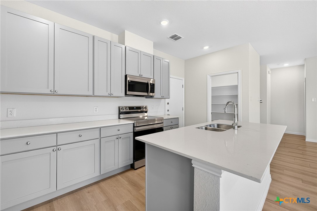 1242 Crimson Sky Court Property Photo 11