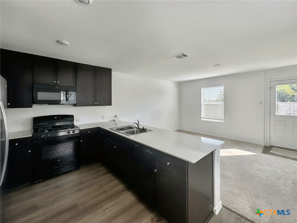 609 Soapstone Pass Property Photo 4