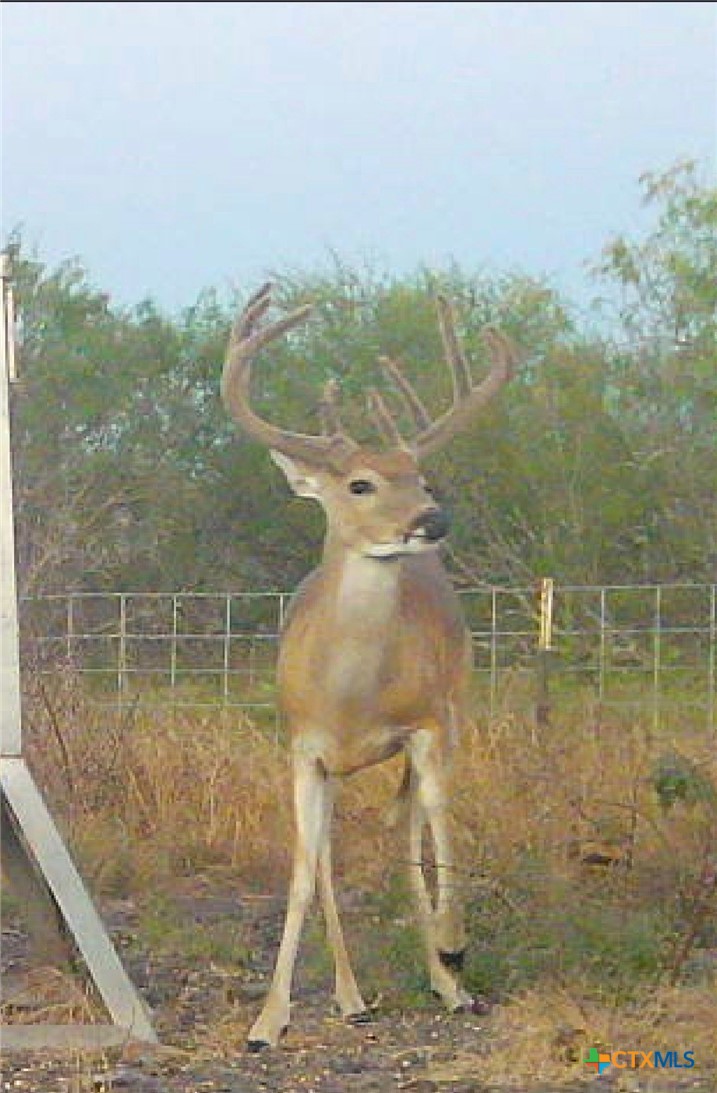 000 Fm 239 Property Photo 24