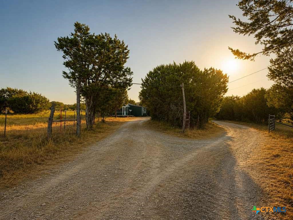 1098 Winter Road Property Photo 6