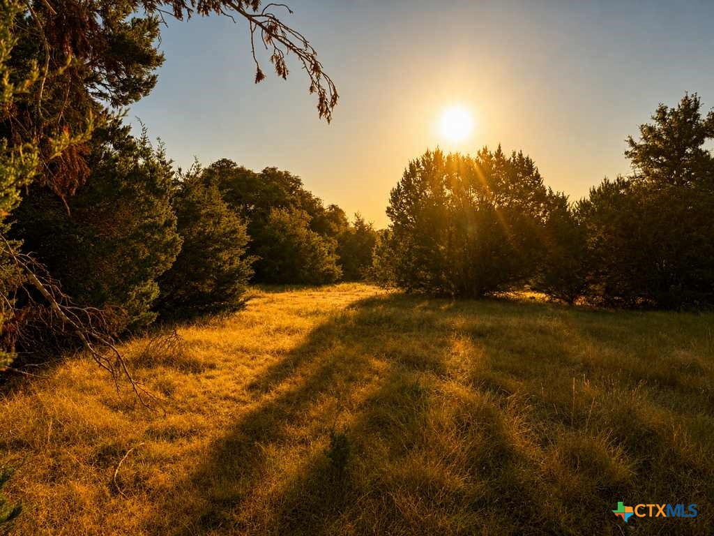 1098 Winter Road Property Photo 7