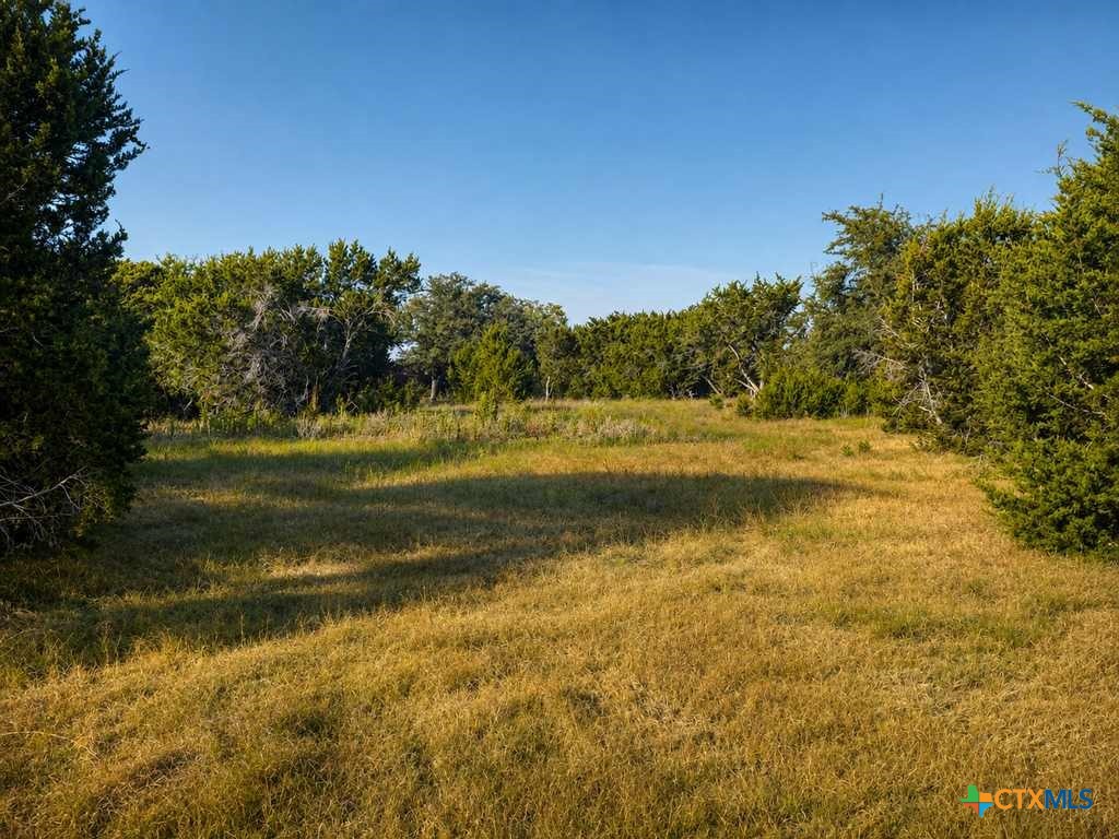 1098 Winter Road Property Photo 21