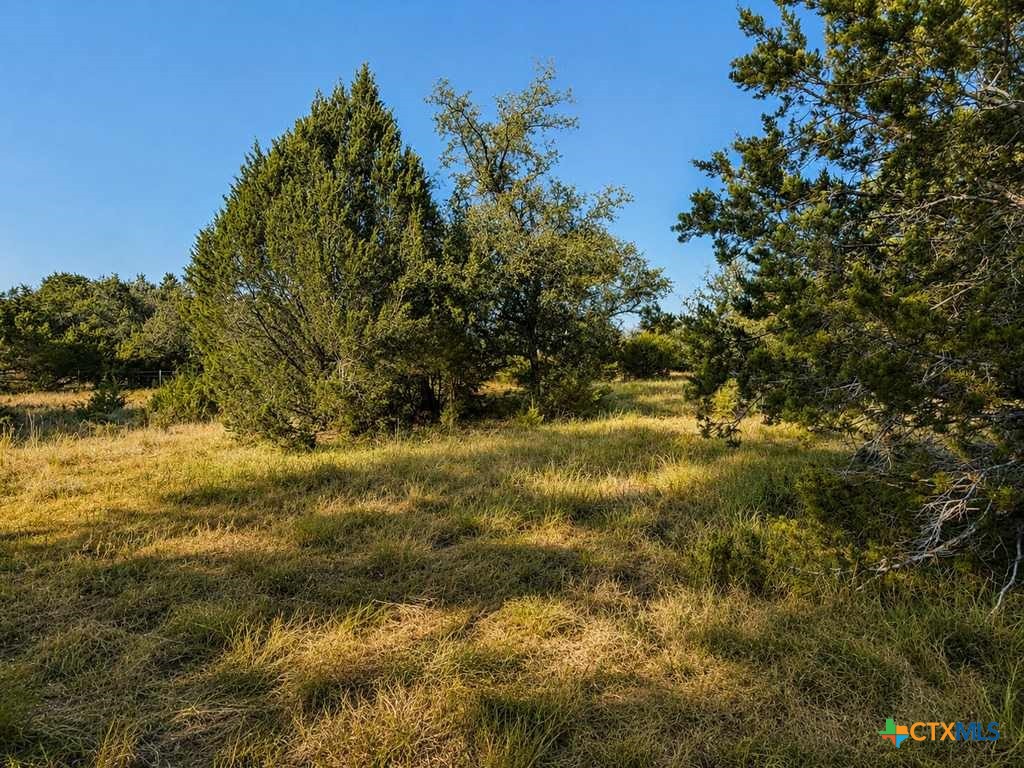 1098 Winter Road Property Photo 22