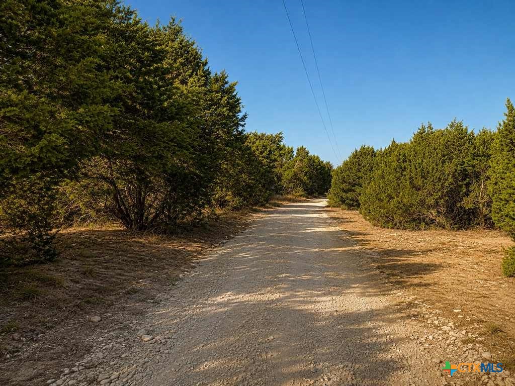 1098 Winter Road Property Photo 24