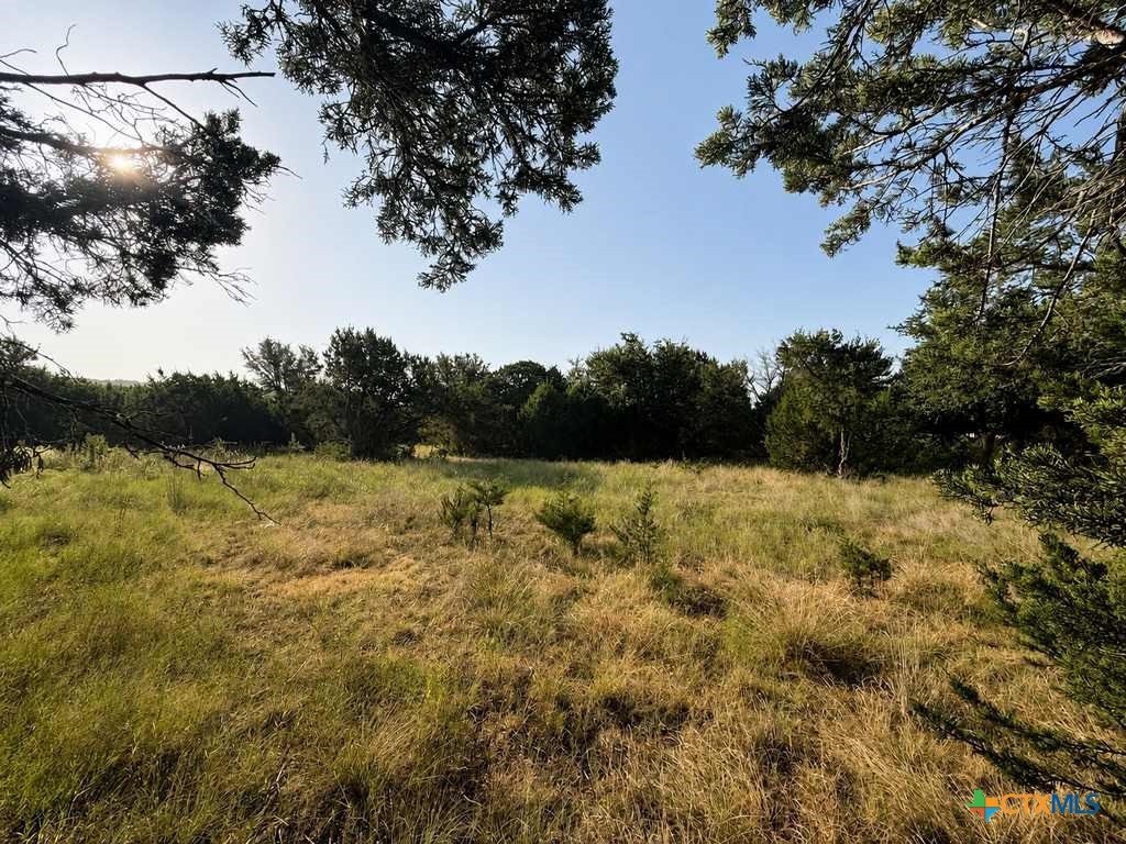 1098 Winter Road Property Photo 26