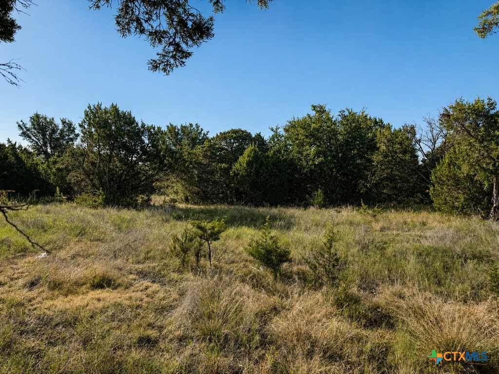 1098 Winter Road Property Photo 29