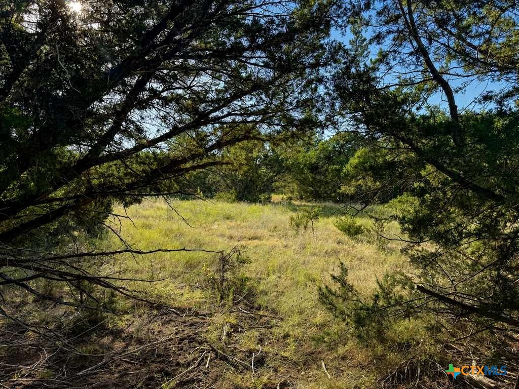 1098 Winter Road Property Photo 30