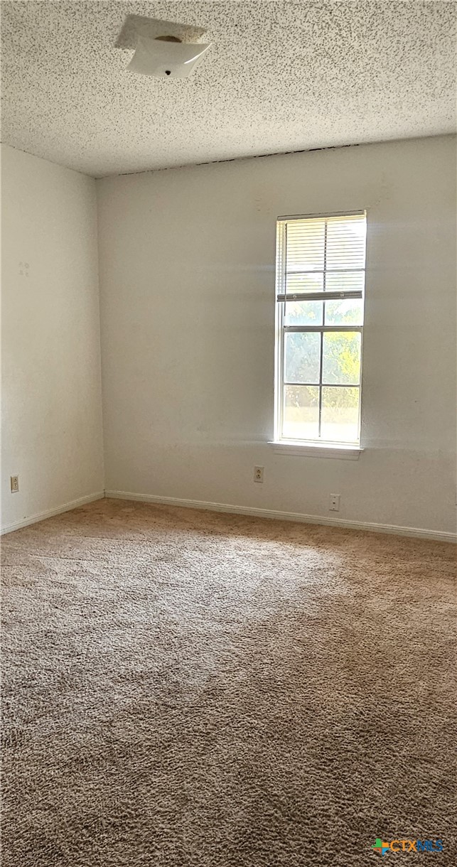 1207 Ruiz Drive Property Photo 19