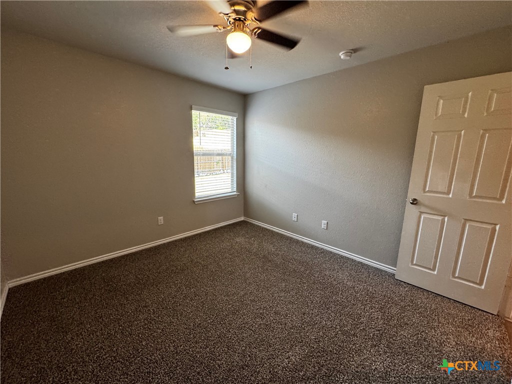 117 Minnie J Loop Property Photo 28