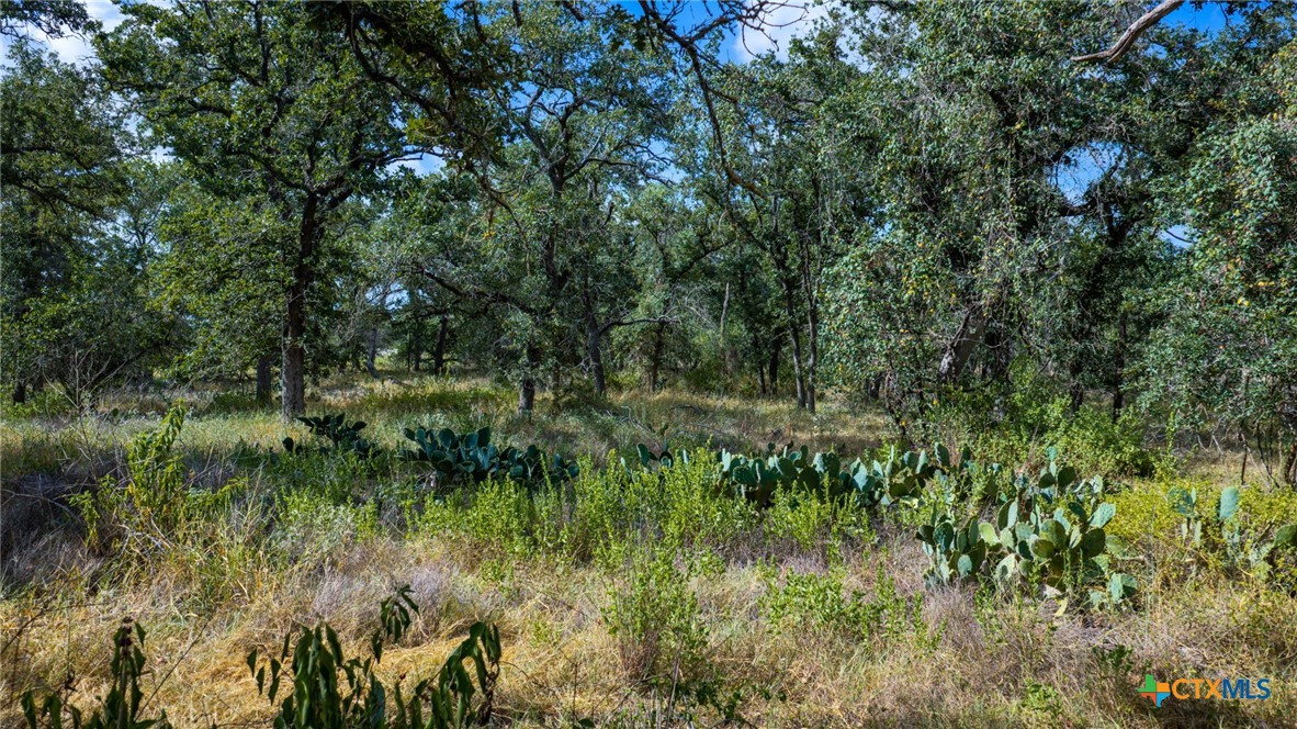 5476 County Road 427 Property Photo 31