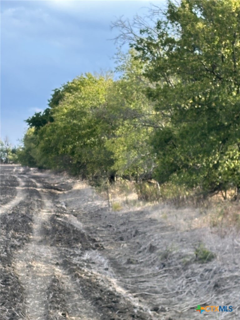 Tbd Cr 451 Property Photo 2