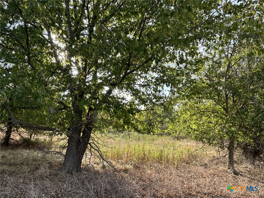 Tbd Cr 451 Property Photo 4