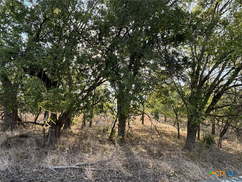 Tbd Cr 451 Property Photo 5