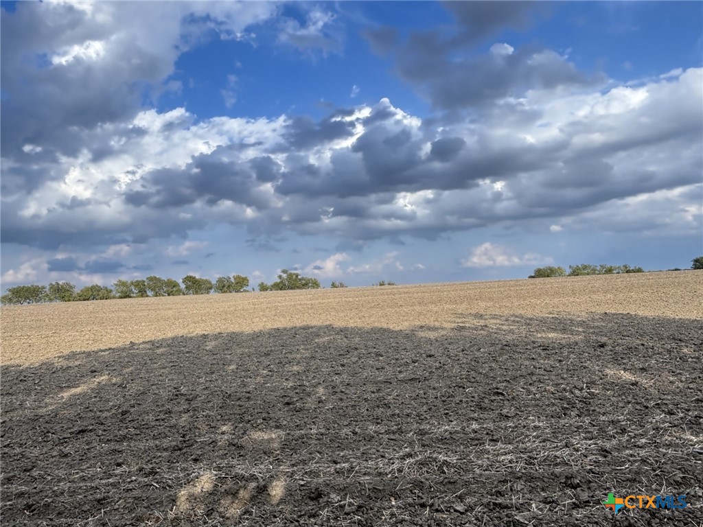Tbd Cr 451 Property Photo 6