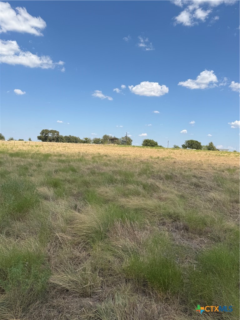 4390 County Road 220 Property Photo 14
