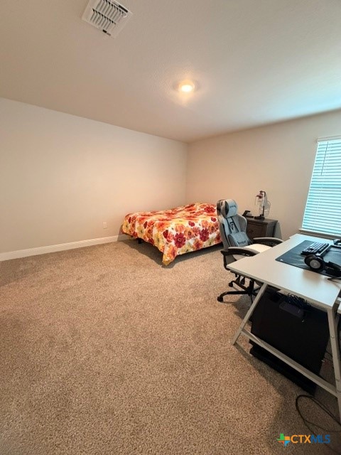 29511 Autumn Copper Property Photo 12