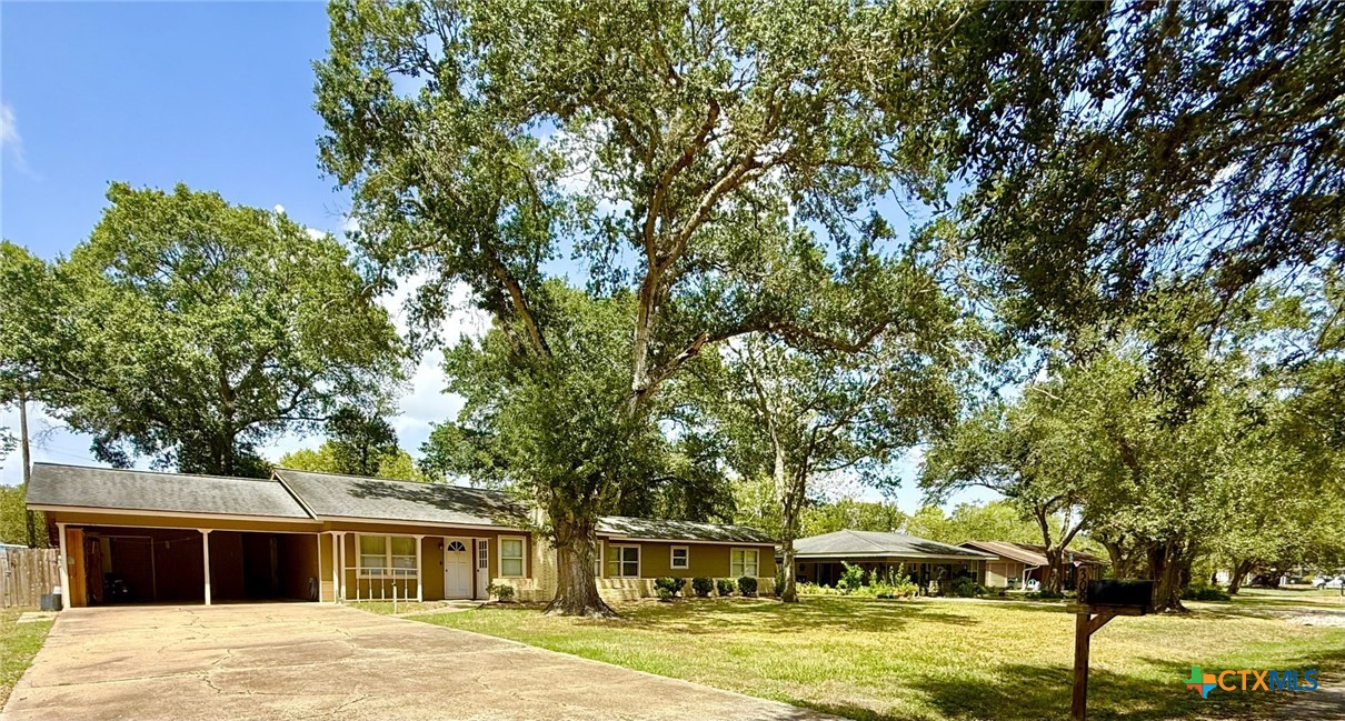 308 Louise Street Property Photo 4