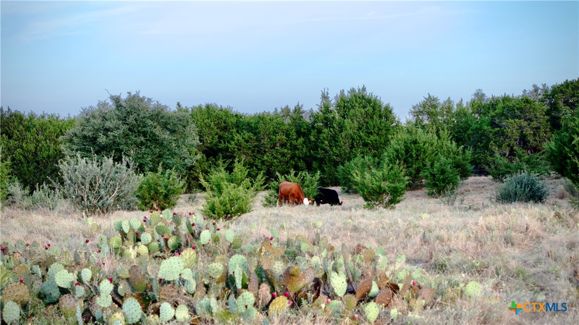 Lot 2a Private Road 1240 Property Photo 3