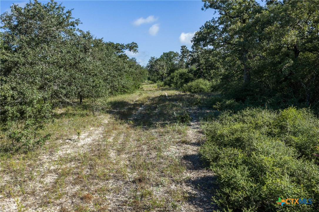 180 Autumn Oak Ct Property Photo 8