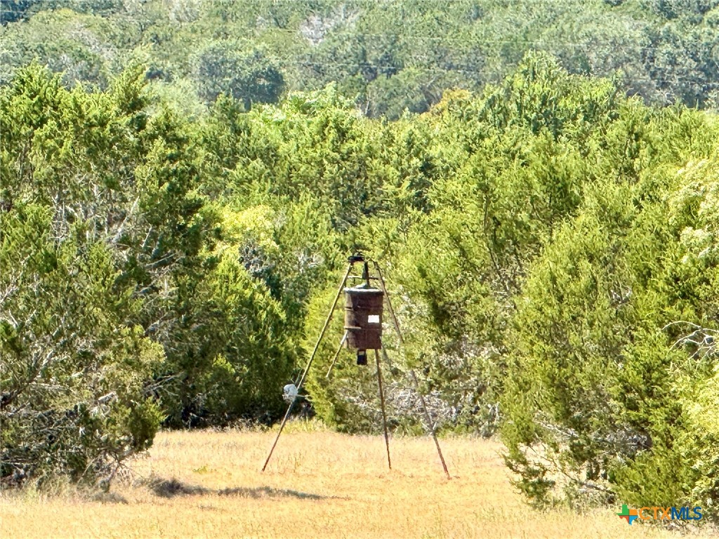 745 S Rocky Trail Property Photo 4