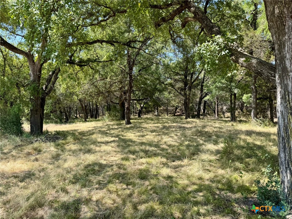 745 S Rocky Trail Property Photo 7