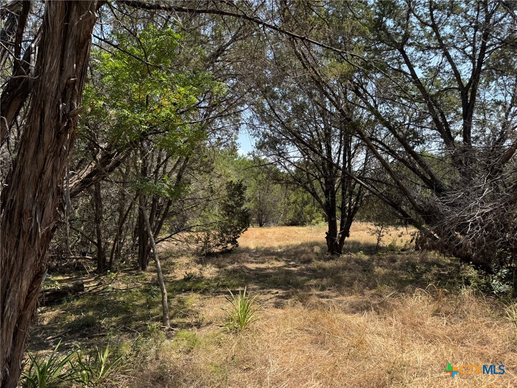 745 S Rocky Trail Property Photo 8