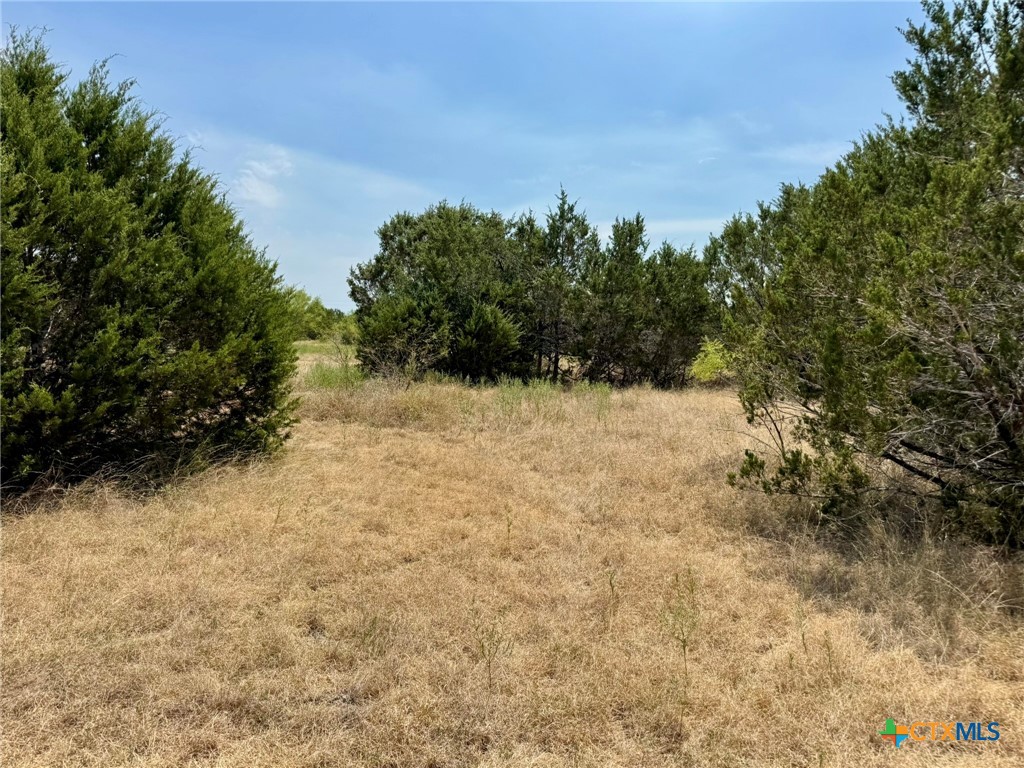 745 S Rocky Trail Property Photo 13