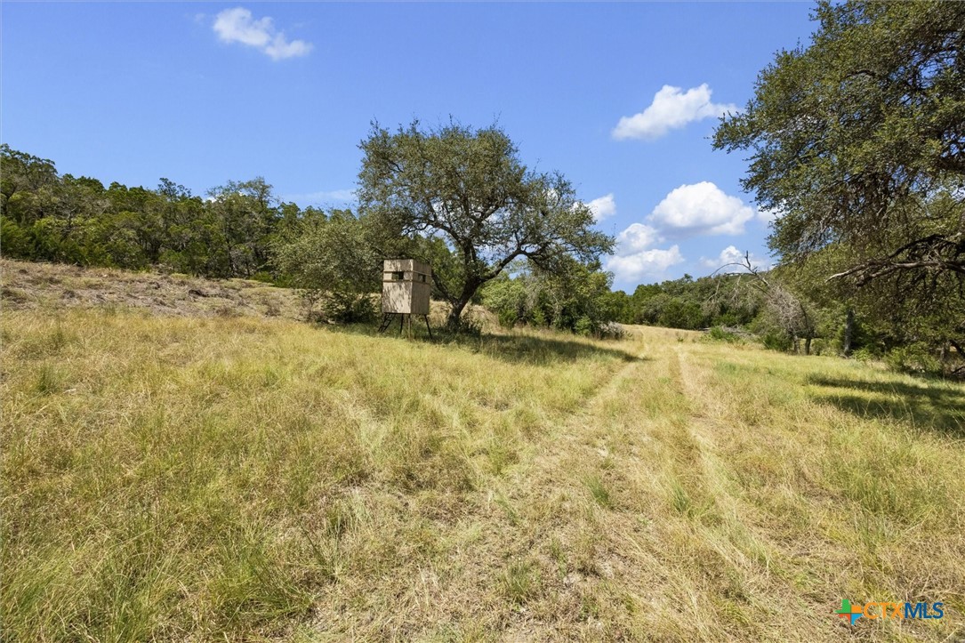1920 The Low Road Property Photo 8