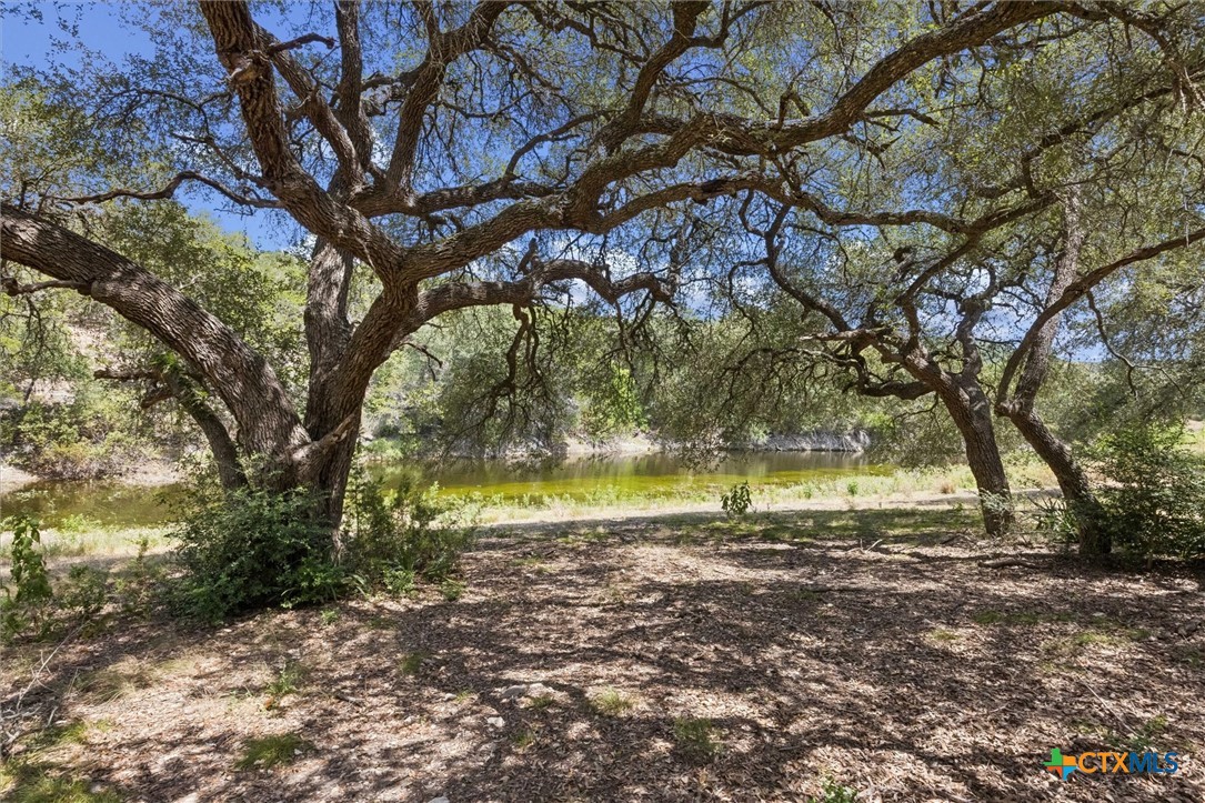 1920 The Low Road Property Photo 14