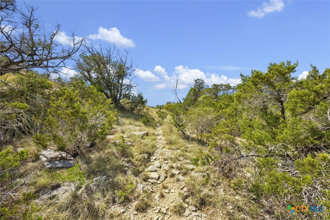 1920 The Low Road Property Photo 26