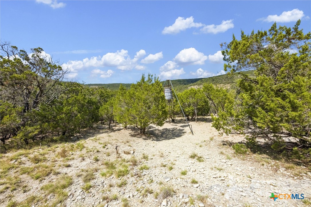 1920 The Low Road Property Photo 27