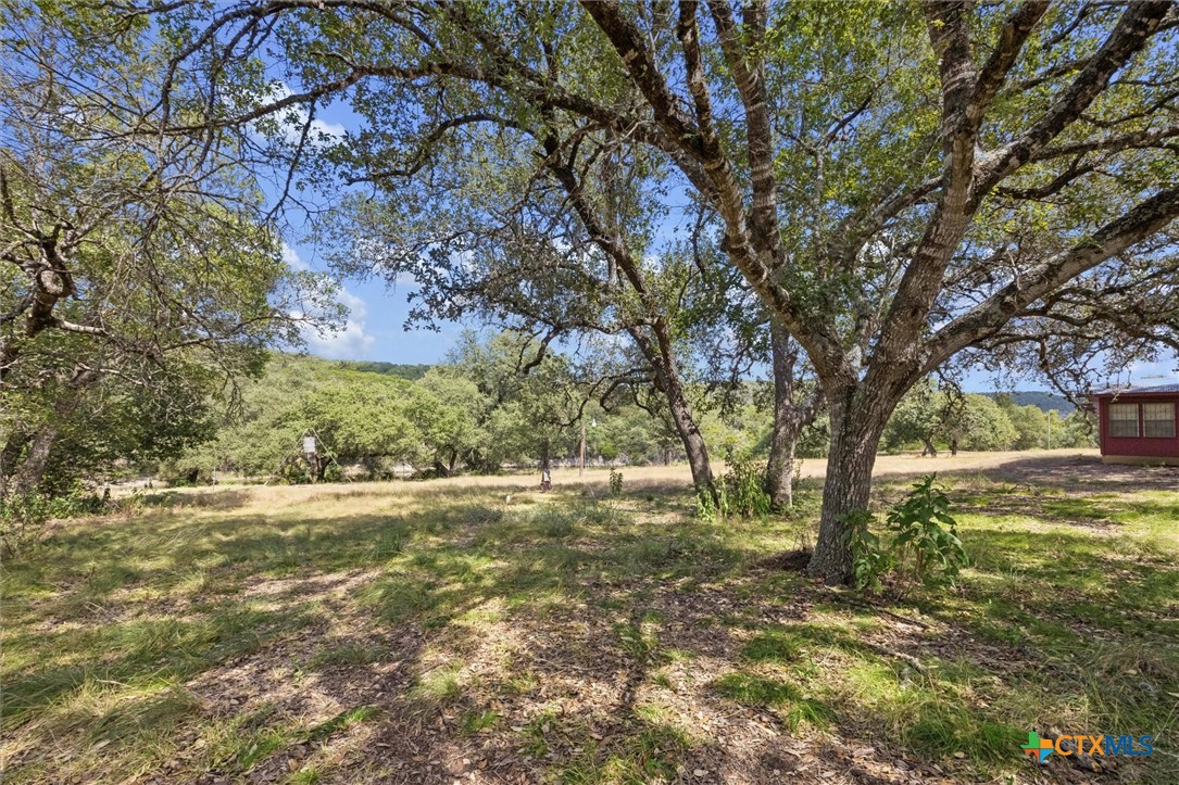 1920 The Low Road Property Photo 31